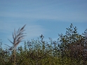 P1020491