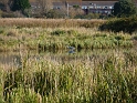 P1020492
