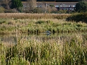 P1020493