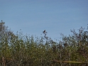 P1020494