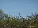 P1020495