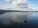 P1020500