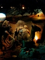 photo-11