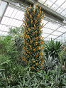 IMG_0766