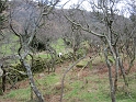 IMG_0796