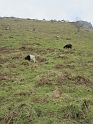 IMG_0797