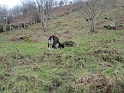 IMG_0798