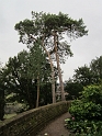 IMG_0805