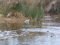 P1020559