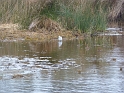 P1020560