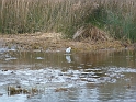 P1020561