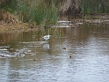 P1020563
