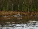 P1020564
