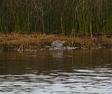 P1020565