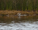 P1020566