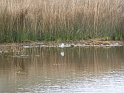 P1020567