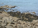 P1020571
