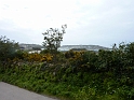 P1020575