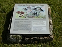 P1020588