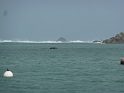 P1020647
