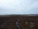 P1020667