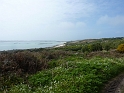 P1020674