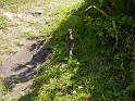 P1020761