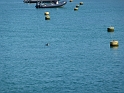 P1020784