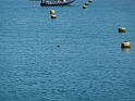 P1020785