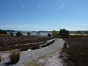 P1020810