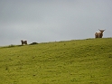 P1020824