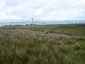 P1020825