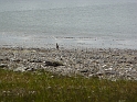 P1020837