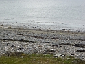 P1020839
