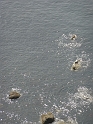 P1020858