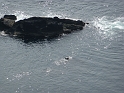 P1020859