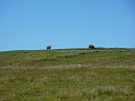 P1020879