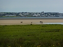 P1020902