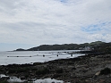 IMG_0929