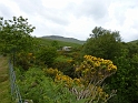 P1020924