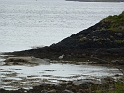 P1020929