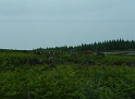 P1020945
