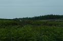 P1020946