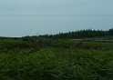 P1020947