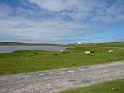 P1020956