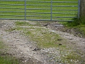 P1020958