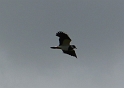 P1020961