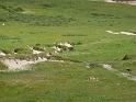 P1020964