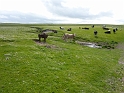 P1020968
