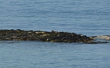 P1020993
